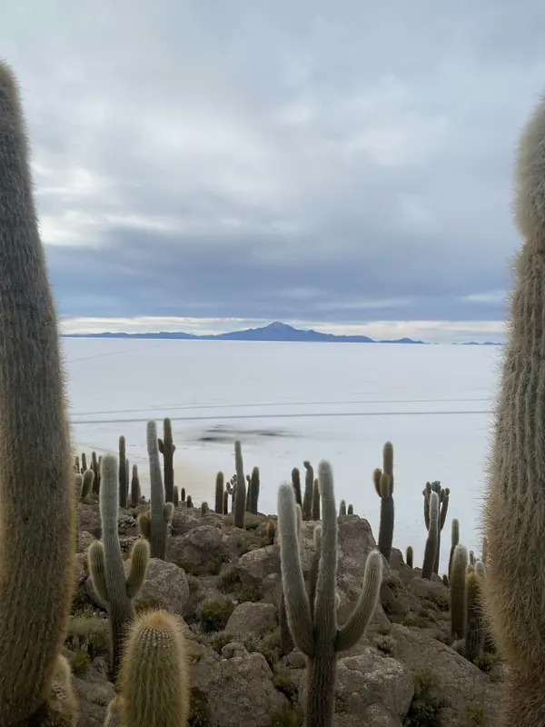 Bolivia — bilde 2