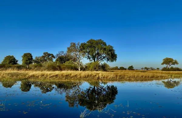 Botswana — bilde 2
