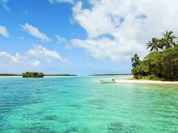 Jamaica — bilde 1