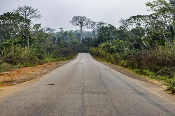 Kamerun — bilde 2