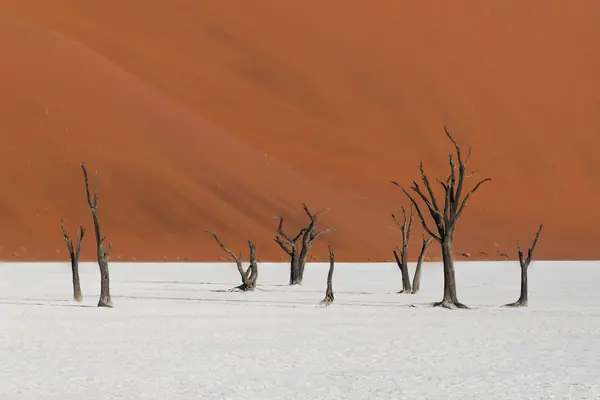 Namibia — bilde 1