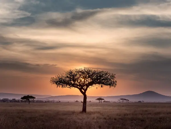 Sør-Afrika — bilde 1